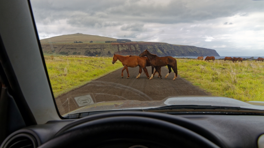 20 - Ile De Pâques (8).jpg